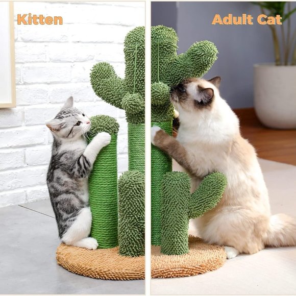 Cat Scratching Post Cactus Cat Scratcher Featuring with 3 Scratching Poles - Picture 5 of 6